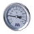 Термометр 63мм-50мм 1/2(0-120 С) гориз. "Millennium''